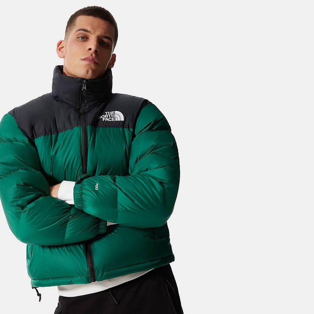the north face 1996 jacket