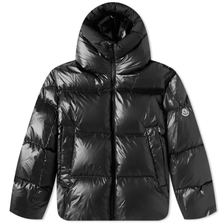 Moncler Damavand Puffer Jacket 'Black'