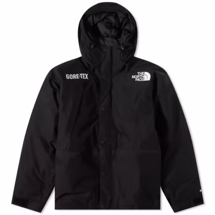 The North Face GORE-TEX® Mountain Guide Jacket 'Black'
